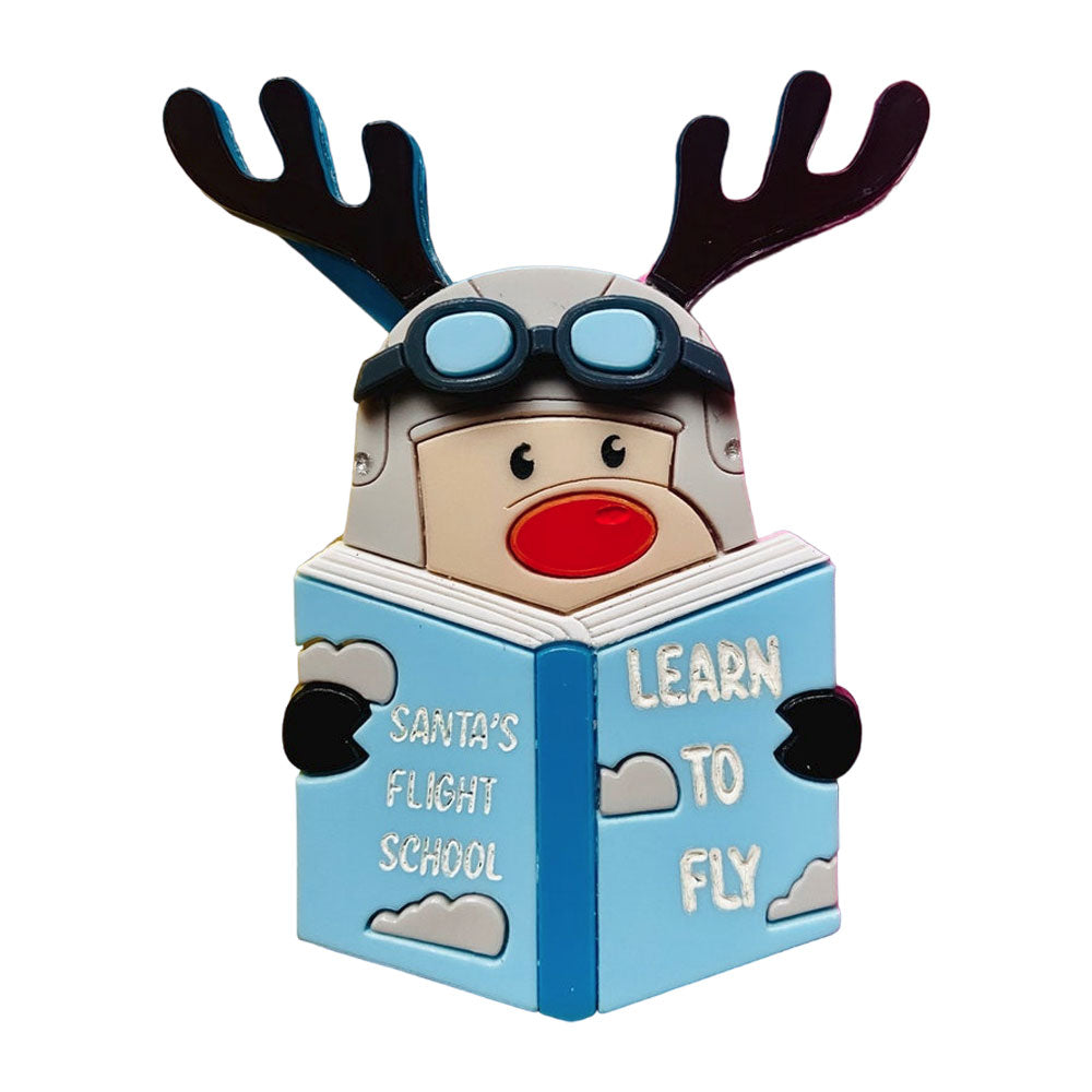 Christmas Collection - Flight Lessons - Acrylic Brooch by Makokot Design