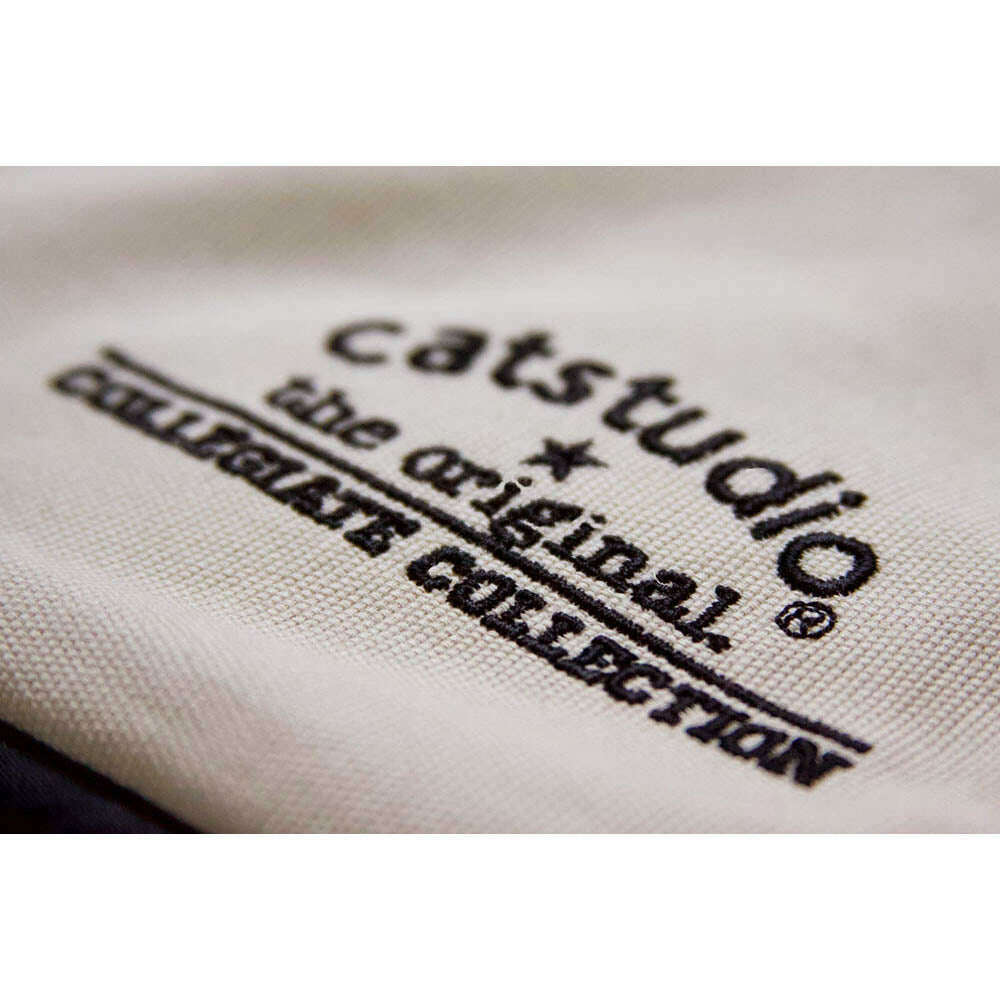 Iowa, University of Collegiate Embroidered Pillow by CatStudio