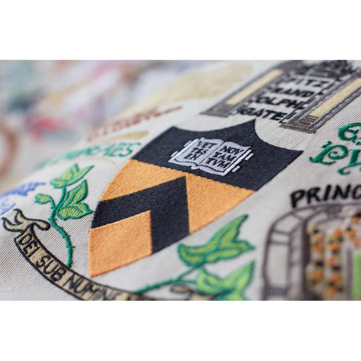 Princeton University Collegiate Embroidered Pillow by CatStudio